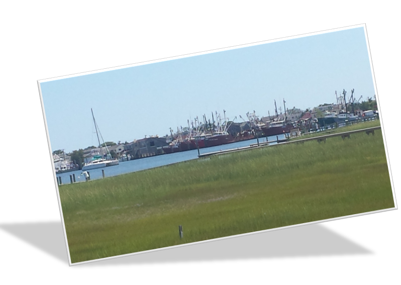 Long Beach Island NJ Real Estate